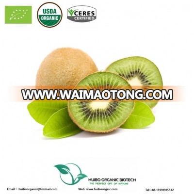 High quality dried organic kiwi fruit slice / powder