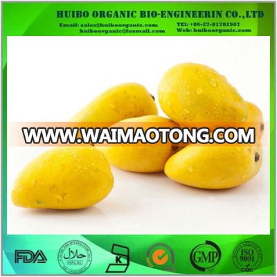 Bulk instant mango powder for drink