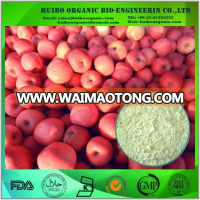 Instant green apple powder / apple tea powder