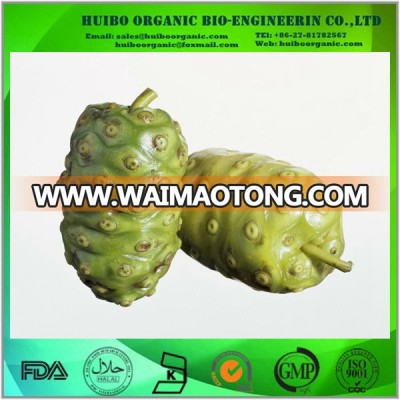 Noni juice powder / Noni Fruit Powder / noni extract