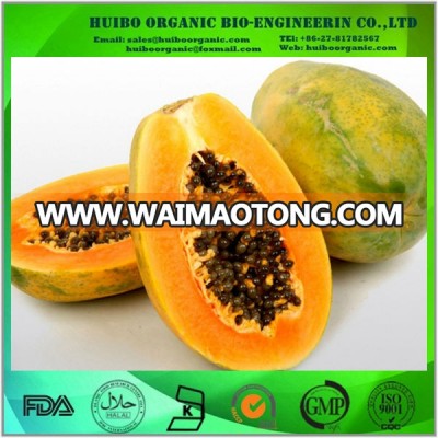 Papaya powder / pawpaw powder