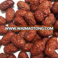 Xinjiang red date dried jujube